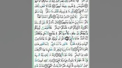 صفحة/٣١٦/ رواية ورش عن نافع/ سورة طه/ ابو النور الهادي