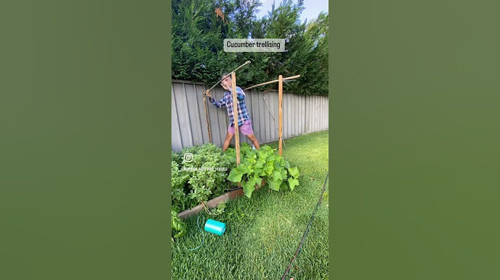 Quick string trellis for the cucumbers. #cucumber #trellis #veggies #gardening #growyourownfood