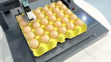 ＃Egg inkjet printer ＃tij inkjet printer #Date coder ＃handheld inkjet printer