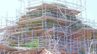 Flowers BLOOMING on Tianas Bayou Adventure! - Disneyland Spring Construction Update 3/21/24