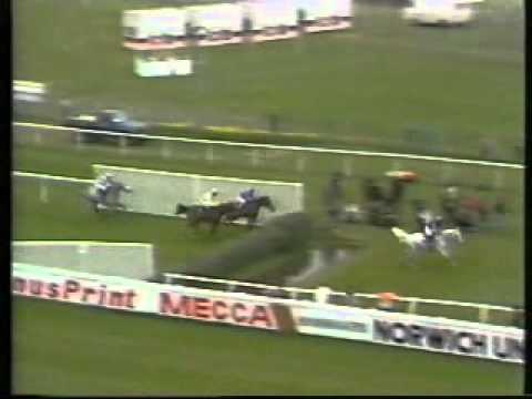 horse-racing-1988-chivas-regal-chase-aintree-desert-orchid