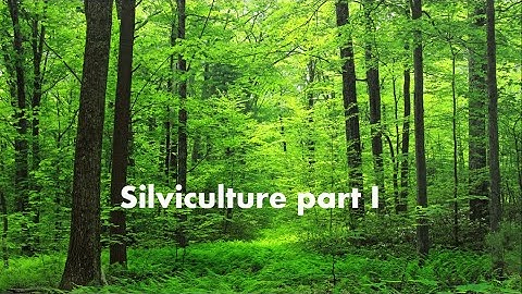 Forestry for JPSC/UPSC becomes easy. WATCH NOW !