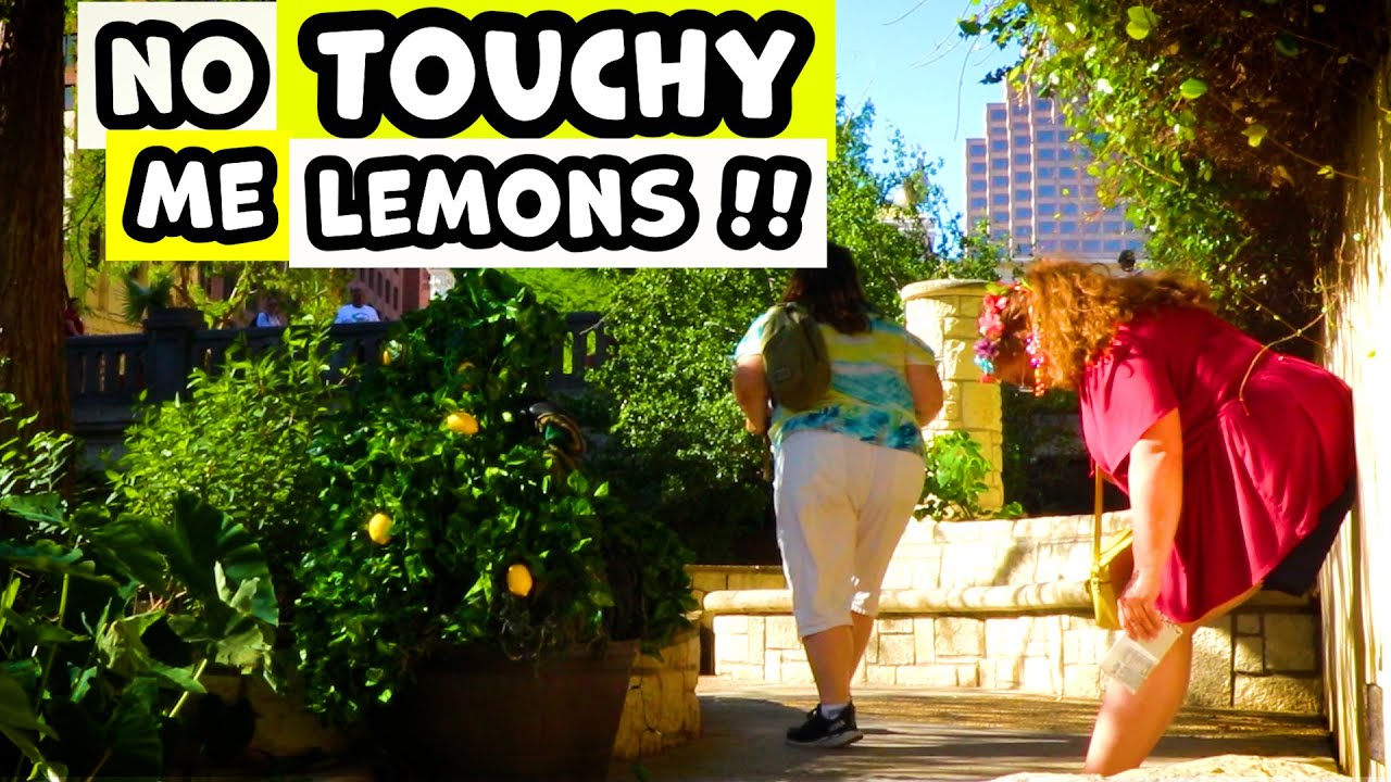 Bushman Prank It Just Got WORSE From Here 