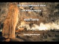 subTerra ( Daniel Weinberger )