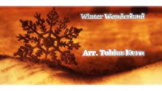 Video thumbnail of "Winter Wonderland Toby"