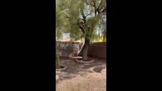 1570 South Sloan Lane Las Vegas Virtual Open House