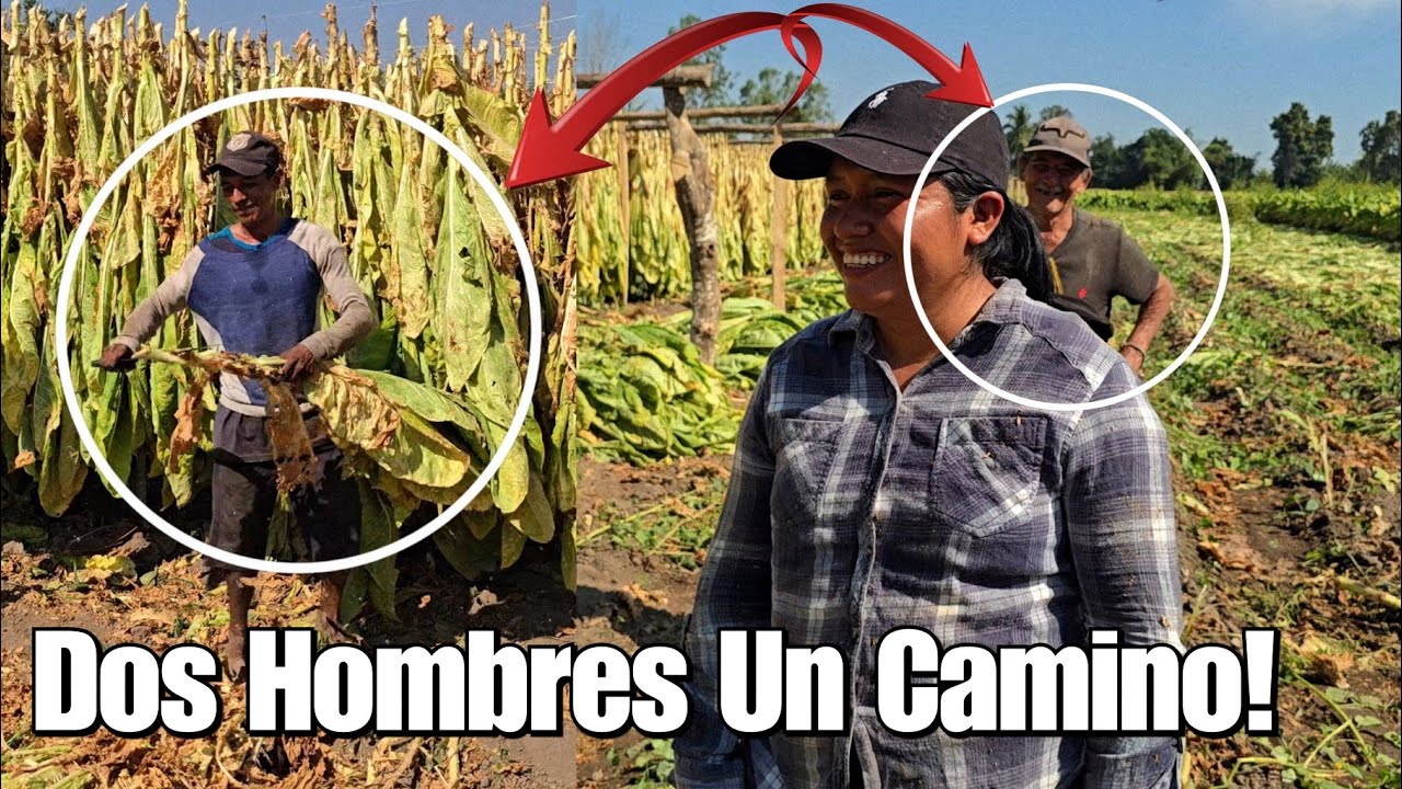 Dos Hombres Enamorados De Carmen, No Se Lo Esperaba😱