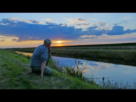 Die BESTE MONTAGE fürs SCHLEIEN-ANGELN: Georg verrät sie euch