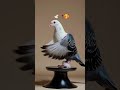 🕊️🥀🥰🕊️🥀🥰🕊️🥀🥰🕊️🕊️🕊️🥀🥀🥀