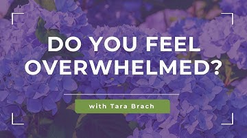 Do You Feel Overwhelmed? Turning Stress into a Gateway of Awakening, with Tara Brach
