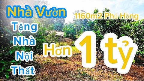 Bán Đất Tặng Nhà Hơn 1 Tỷ.Đường Nhựa Lên Được Thổ Cư #bds #ban #nhadep #vuondep #reviewbds #datgiare