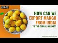 How Can We Export Mango From India To The Global Market?