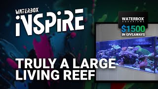 This is Truly a Living Reef - INSPIRE Day 3