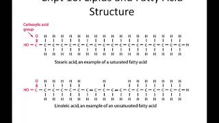 Lecture 12: Lipid Structure and Function - 10/13/20
