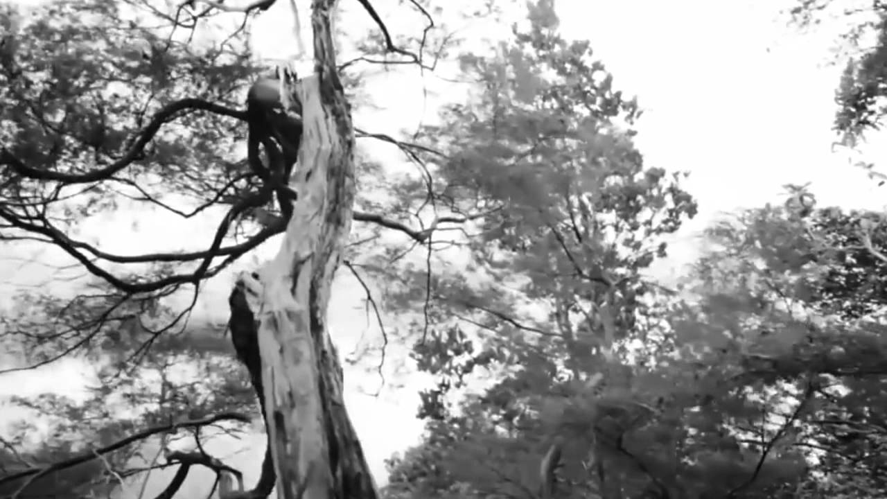 امي |  [خالد الطريري]