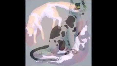 brightpaw and swiftpaw amv (requested)