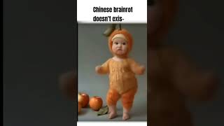 Chinese Brainrot Doesnt Exist