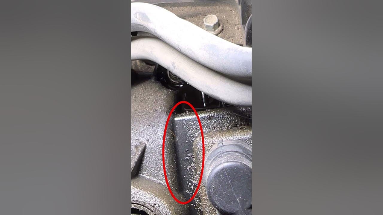 3 5 ecoboost oil leak youtube