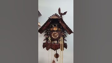 Nhiều mẫu đồng hồ Cuckoo nhập Đức mới về.