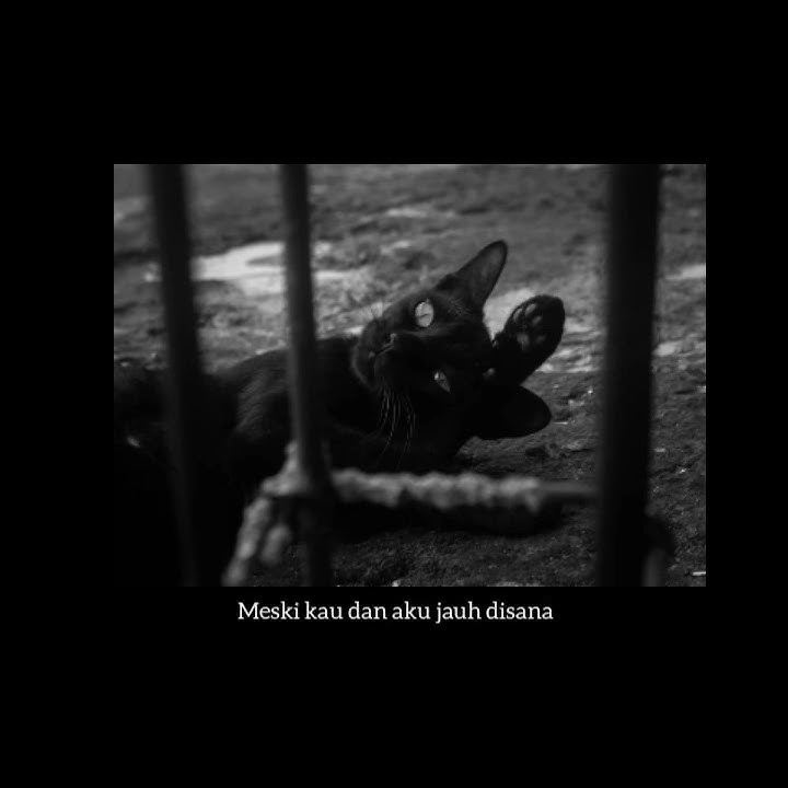 Story wa Stand here alone- Hilang harapan🍁