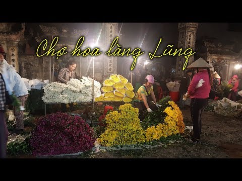 Video Chợ hoa làng Lũng: Lung linh giữa đêm đất Hải Phòng - youtube