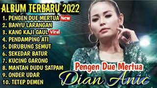 Pengen Duwe Mertua Dian Anic full album terbaru viral || full album terbaru 2022