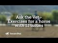 Ask the Vet - Exercises for a horse with SI issues