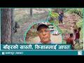 सार्वजनीक बिदा लिएर लखेटियो बाँदर | Kantipur Samachar