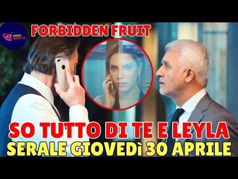 Video Forbidden Fruit: Il segreto di Leyla è fuori! Nadir umilia Halit davanti a Yildiz