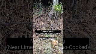 Mineral Spring | Copper &amp; Iron Indicators | Content Gap 🇯🇲