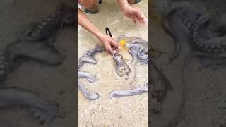 Feeding a Hidden Sea Monster with an Egg! 😱🥚 | Ultimate Beach Catch