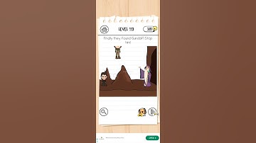 Brain test 3 level 113