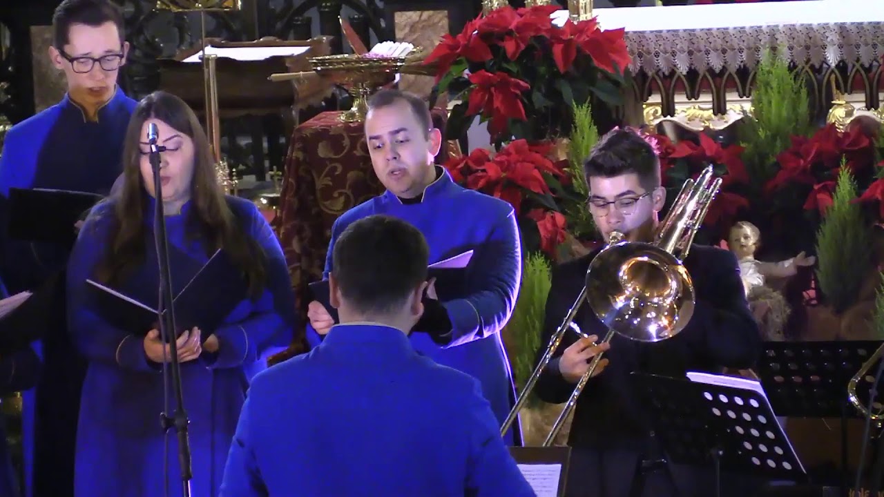 Bazylika Mariacka w Krakowie – transmisja na żywo