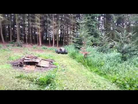 mulchen-eines-verwilderten-grundstücks