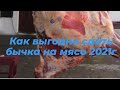 Куда и каким образом  выгоднее сдать бычка на мясо.