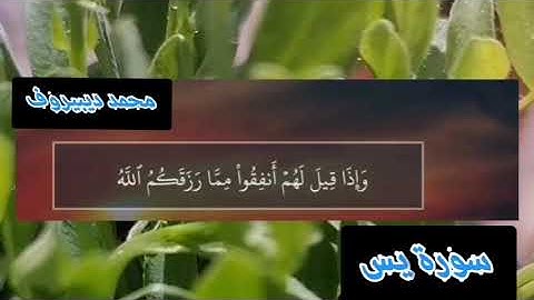 سورة يس كاملة مكتوبة للقارئ محمد ديبيروف