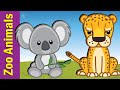 Zoo Animals Quiz