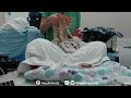 Intake exams with new feral pregnant cat and kittens! TinyKittens.com