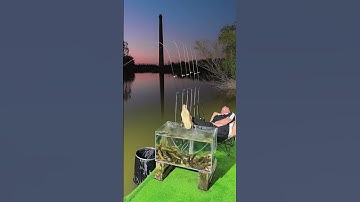 Câu cá bè sông, câu ngâm ban đêm cảm giác #1 #fishing #shorts