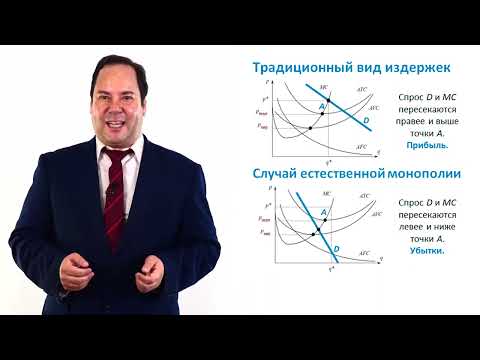 6.1.1. Искусственные и естественные монополии