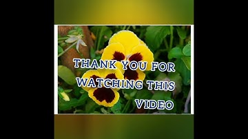 B.Ed. 4th Semester| Assignment On Virtual Laboratory &  Haptic Technology|Course EPC-3 (1.4EPC3)