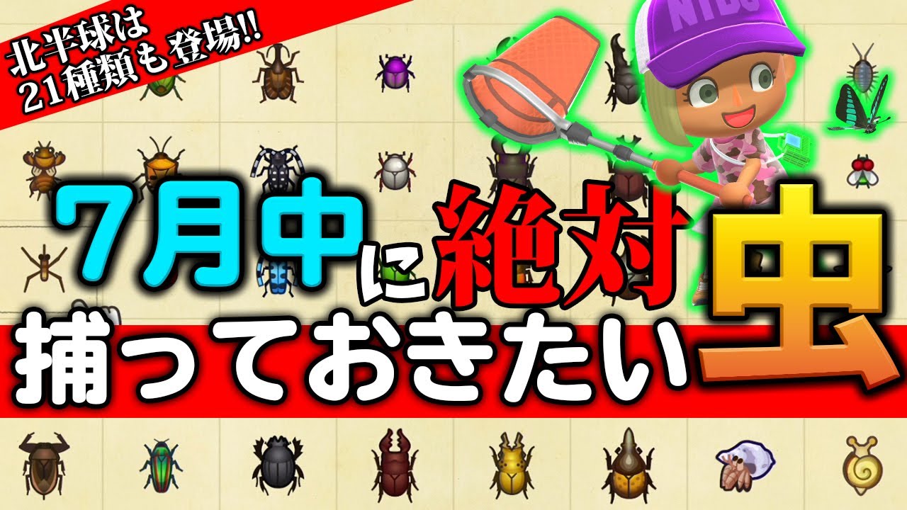 あつ森】全21種類の新しい虫登場の7月！新しく捕まえられる虫や消えて