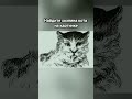 Find the owner of the cat in the picture #funny #trending #reels #тестнавнимательность #viral #short