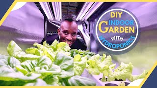 How To GROW Lettuce Indoors ALL YEAR With A DIY Hydroponic System
