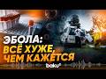 Скрытая угроза Эболы: мнения экспертов - Baku TV | RU