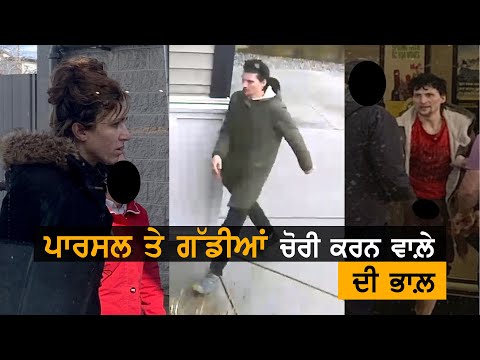 Canada: ਪਾਰਸਲ ਤੇ ਗੱਡੀਆਂ ਚੋਰੀ ਕਰਨ ਵਾਲੇ ਦੀ ਭਾਲ | TV Punjab