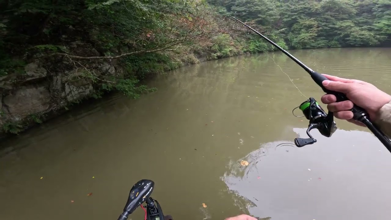 Bass Fishing Live Streaming Highlight in Japanese River Japan lake Shimano Metanium DC megabass OSP