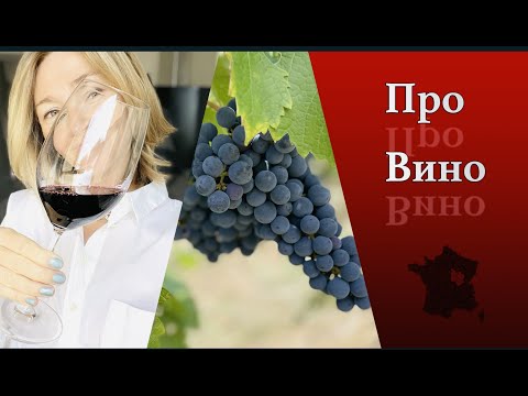 Французское Вино l Бургундия или Бордо Разница l Дегустация Как l Белое Красноe l Эльзас