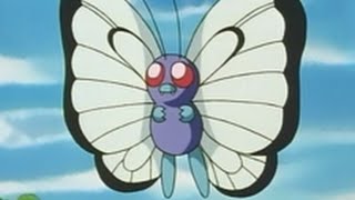 All Ash's Butterfree moves