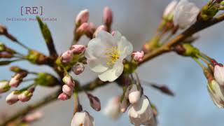 Spring is Just Around the Corner